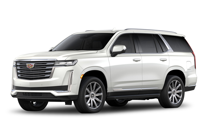 크리스탈 화이트 트리코트 익스테리어